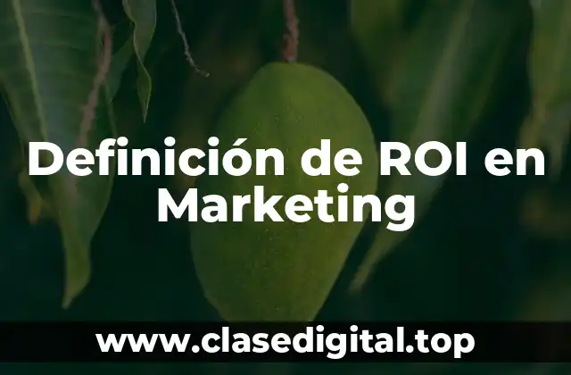 Definición técnica de ROI en Marketing