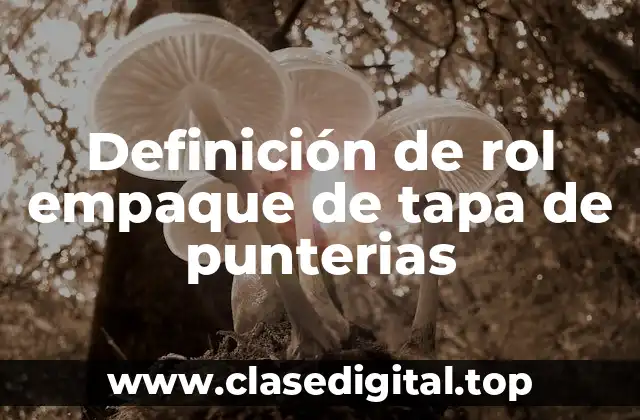 Definición técnica de rol empaque de tapa de punterías