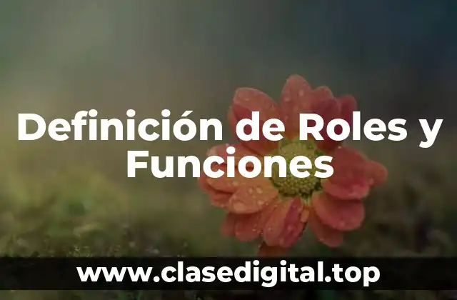 Definición de Roles y Funciones