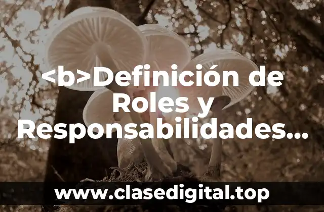 Definición Técnica de Roles y Responsabilidades