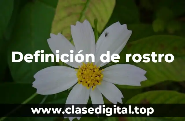 Definición de rostro