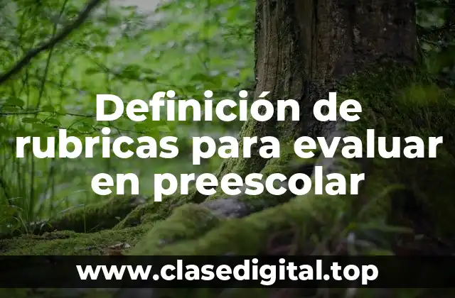 Definición de rubricas para evaluar en preescolar
