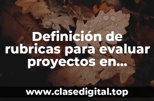 Definición de rubricas para evaluar proyectos en primaria