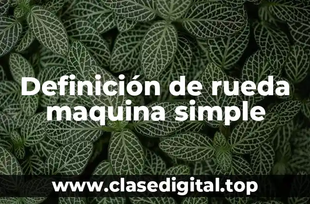 Definición técnica de rueda maquina simple
