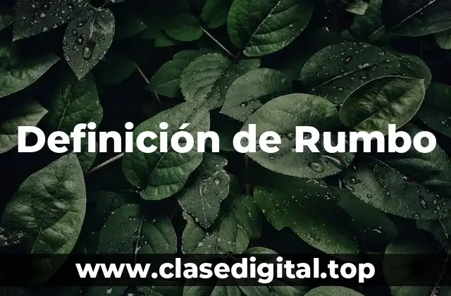 Definición Técnica de Rumbo