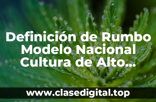 Definición de Rumbo Modelo Nacional Cultura de Alto Desempeño