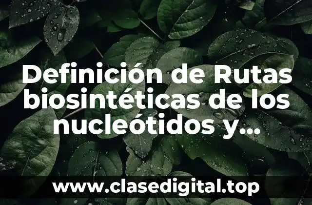 Definición de Rutas biosintéticas de los nucleótidos y desoxirribonucleótidos