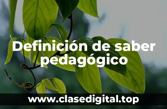Definición de saber pedagógico