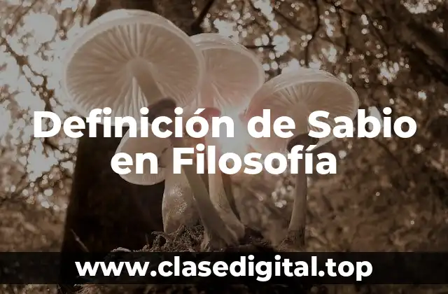 ¿Qué es un Sabio en Filosofía?