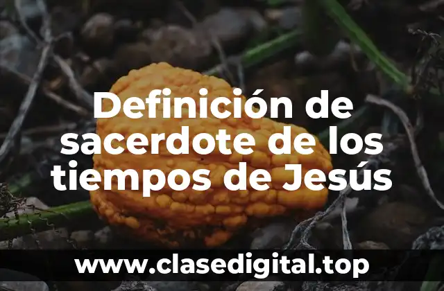 Definición técnica de sacerdote de los tiempos de Jesús