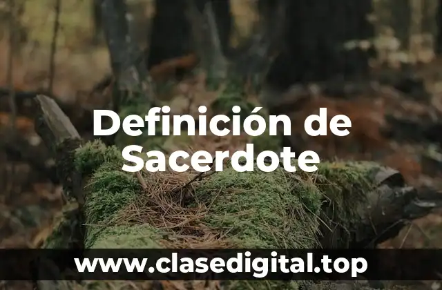 Definición de Sacerdote