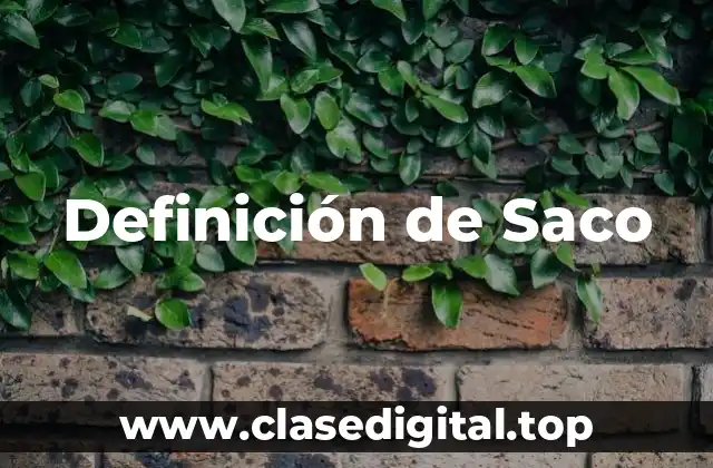 Definición de Saco