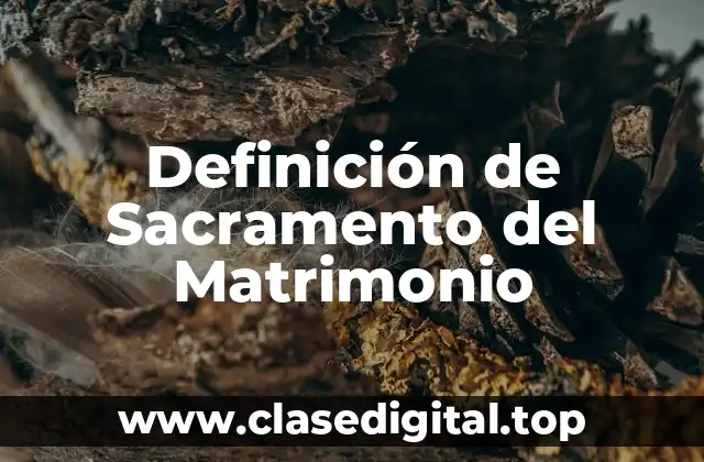 Definición de Sacramento del Matrimonio
