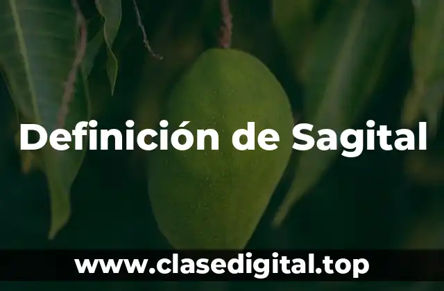 Definición de Sagital