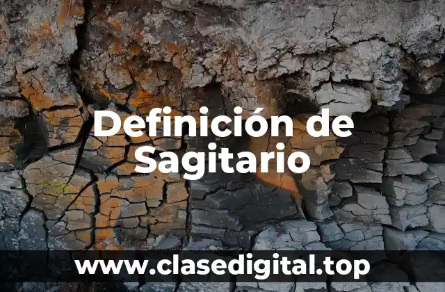 Definición de Sagitario