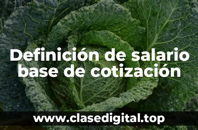 Definición de salario base de cotización