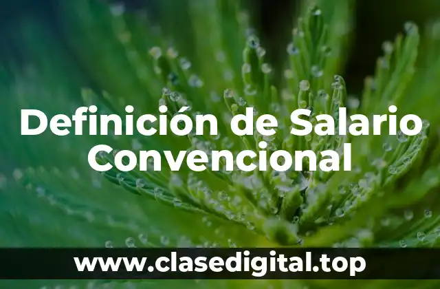 Definición de Salario Convencional