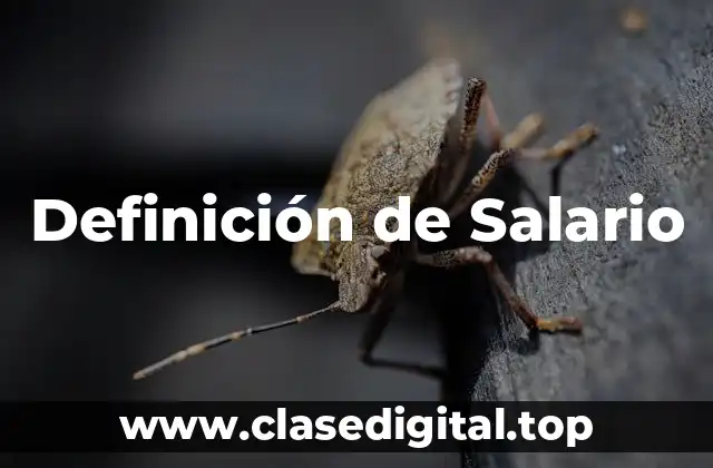 Definición de Salario