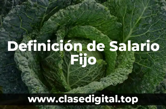 Definición de Salario Fijo