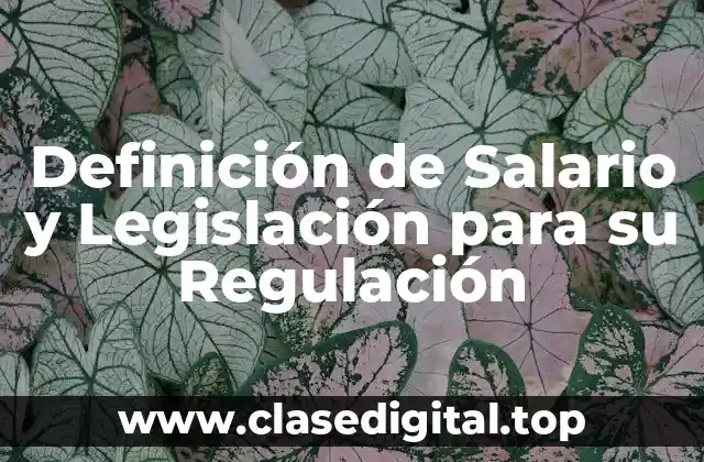 Definición de Salario y Legislación para su Regulación