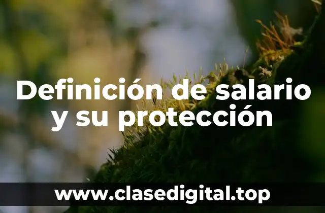Definición de salario y su protección