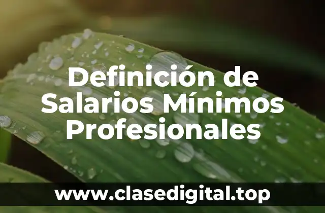 Definición de Salarios Mínimos Profesionales
