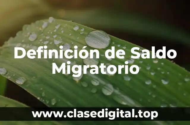 Definición de Saldo Migratorio