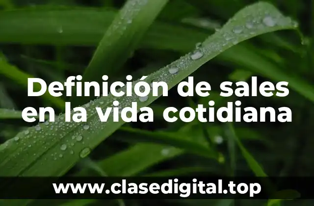 Definición de sales en la vida cotidiana