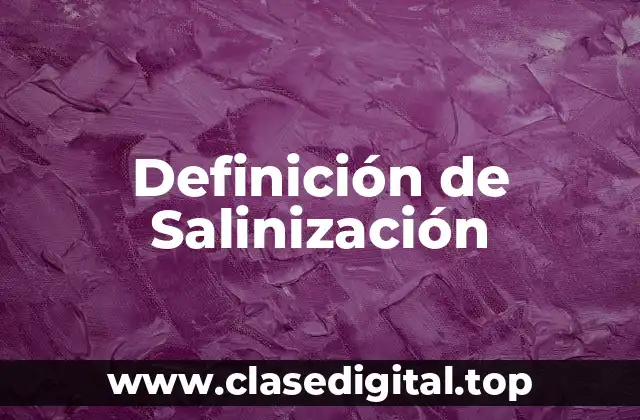 Definición de Salinización