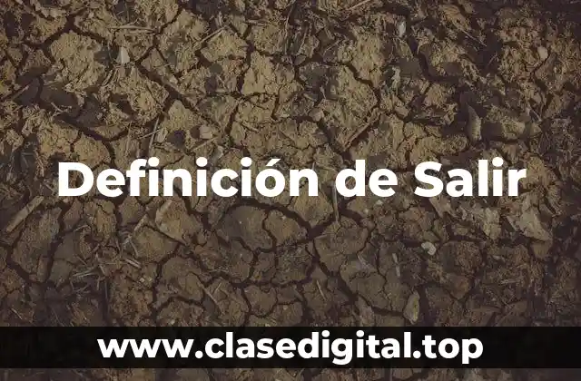 Definición de Salir