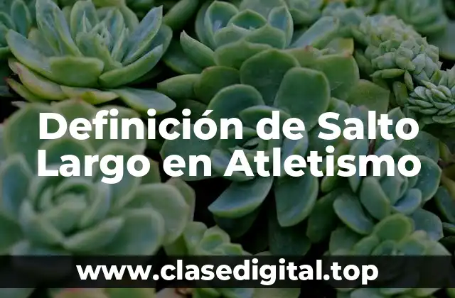 Definición de Salto Largo en Atletismo