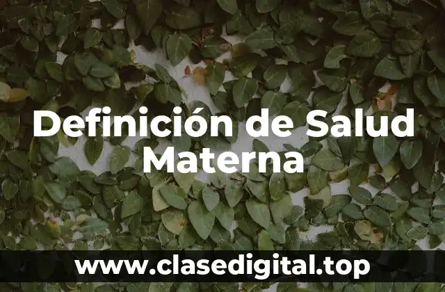 Definición de Salud Materna