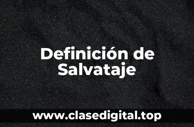 Definición de Salvataje