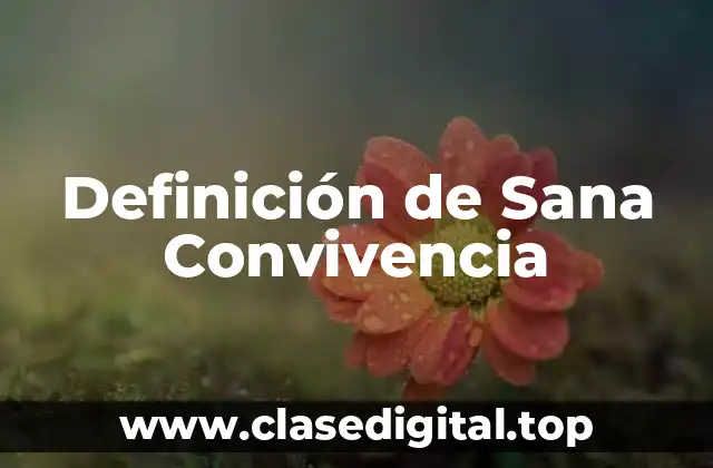 Definición de Sana Convivencia