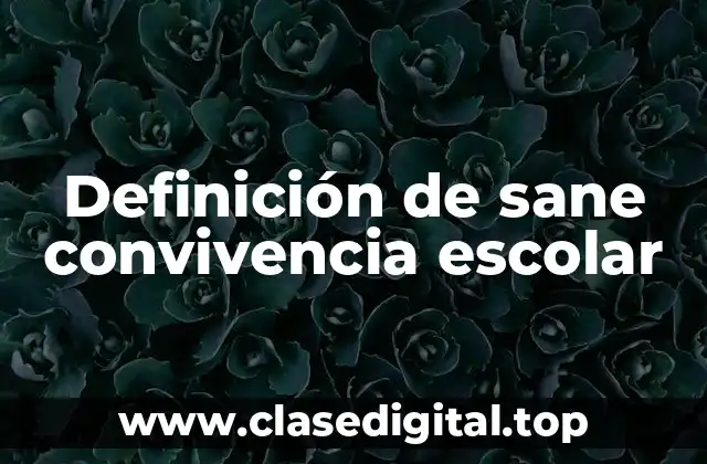 Definición de sane convivencia escolar