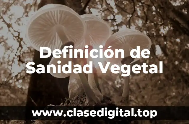 Definición de Sanidad Vegetal