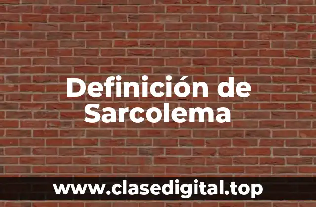 Definición técnica de Sarcolema