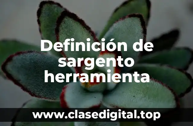 Definición de sargento herramienta