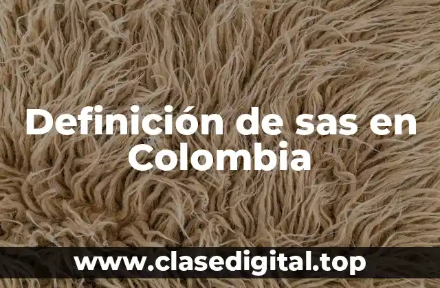 Definición de sas en Colombia