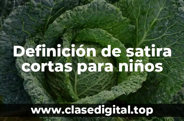 Definición de satira cortas para niños