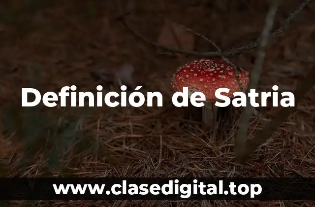 Definición de Satria