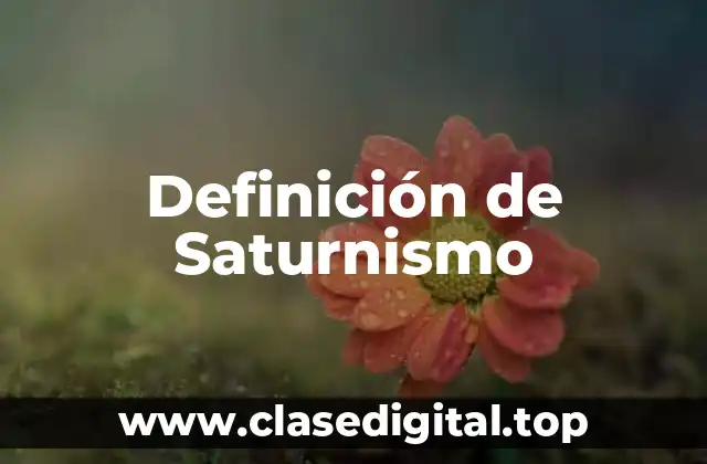 Definición de Saturnismo