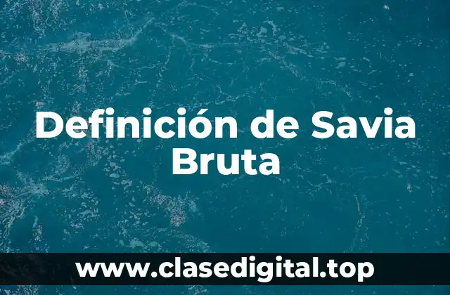 Definición de Savia Bruta