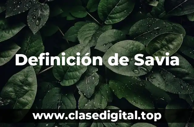 Definición de Savia