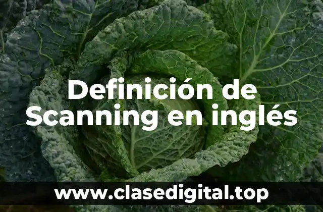 Definición de Scanning en inglés
