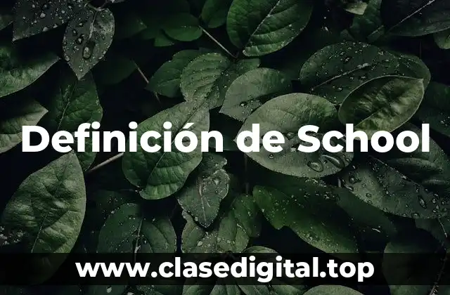 Definición de School