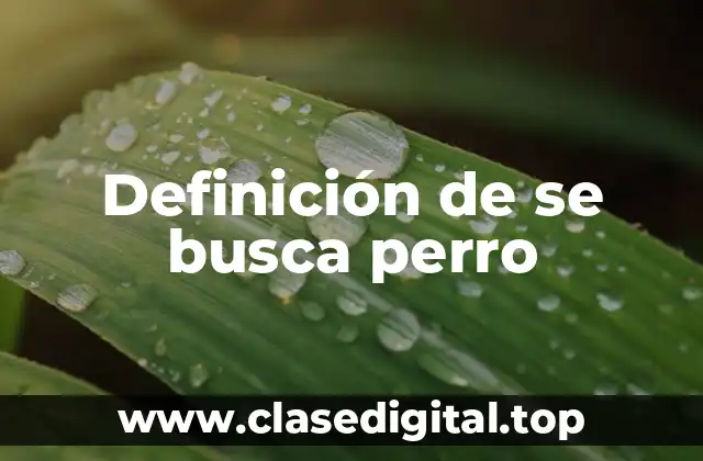 Definición de se busca perro