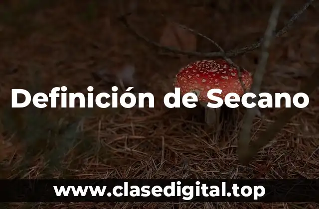 Definición de Secano