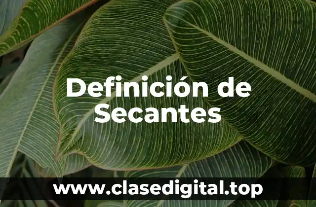 Definición de Secantes