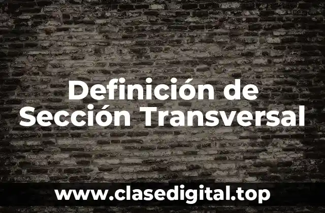 Definición Técnica de Sección Transversal